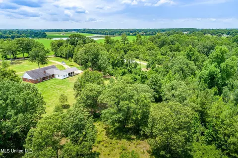 240 Henry Eubanks Rd, Lucedale, MS 39452 photo 31