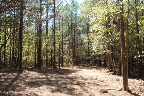 1499 Robison Rd, Batesville, MS 38606