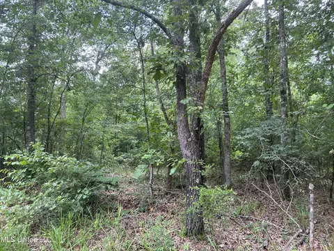 Hayes Place, Pearl, MS 39208 photo 5