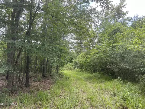 Hayes Place, Pearl, MS 39208 photo 4