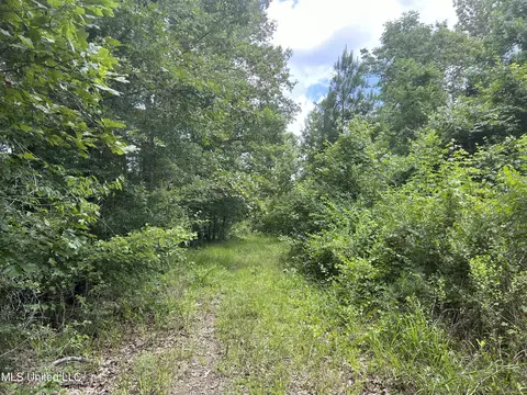Hayes Place, Pearl, MS 39208 photo 3