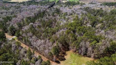 12 72-ac Highway 44, Sumrall, MS 39482 photo 13