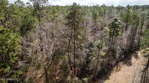12 72-ac Highway 44, Sumrall, MS 39482 photo 19