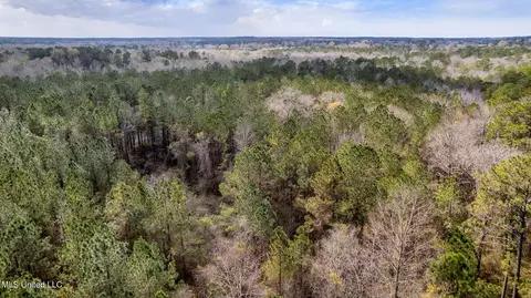 12 72-ac Highway 44, Sumrall, MS 39482 photo 25