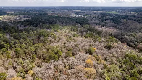 12 72-ac Highway 44, Sumrall, MS 39482 photo 18