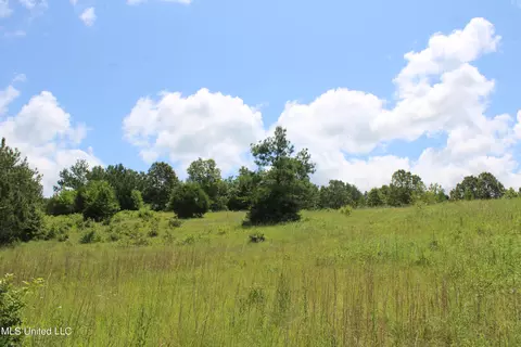 4801 Jason Patrick Rd, Senatobia, MS 38668