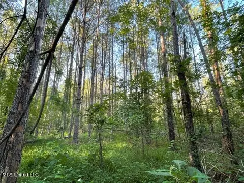 Sherman Hill Road, Lake, MS 39092