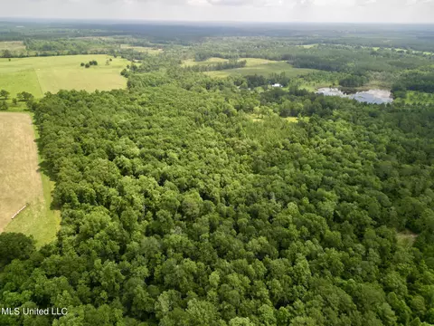 75 Eviction Rd, Lumberton, MS 39455 photo 8