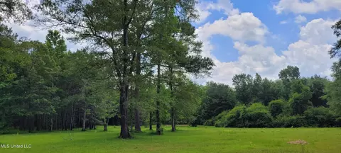 75 Eviction Rd, Lumberton, MS 39455 photo 19