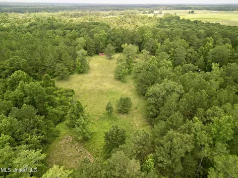 75 Eviction Rd, Lumberton, MS 39455 photo 6