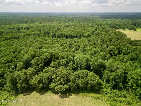 75 Eviction Rd, Lumberton, MS 39455 photo 12