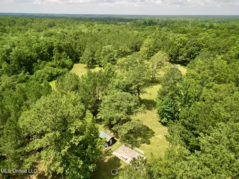 75 Eviction Rd, Lumberton, MS 39455 photo 18
