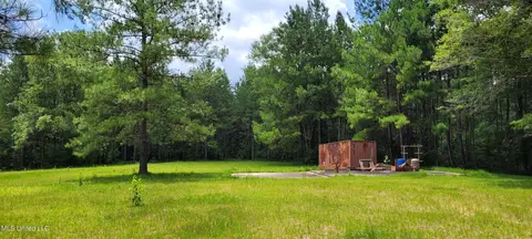75 Eviction Rd, Lumberton, MS 39455 photo 22