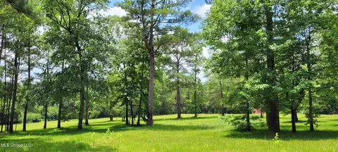 75 Eviction Rd, Lumberton, MS 39455 photo 24