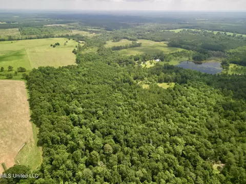 75 Eviction Rd, Lumberton, MS 39455 photo 9