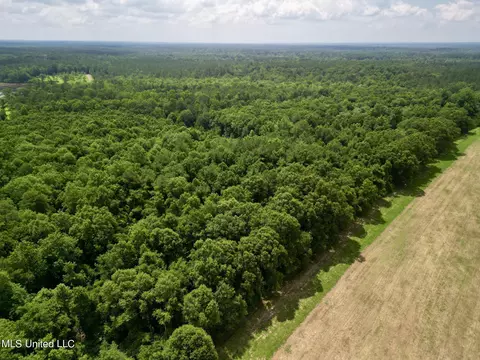 75 Eviction Rd, Lumberton, MS 39455 photo 13