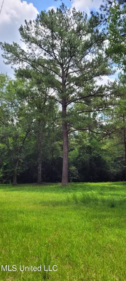 75 Eviction Rd, Lumberton, MS 39455 photo 26