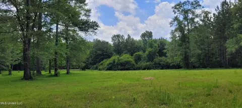 75 Eviction Rd, Lumberton, MS 39455 photo 20
