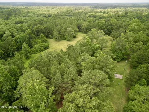 75 Eviction Rd, Lumberton, MS 39455 photo 5