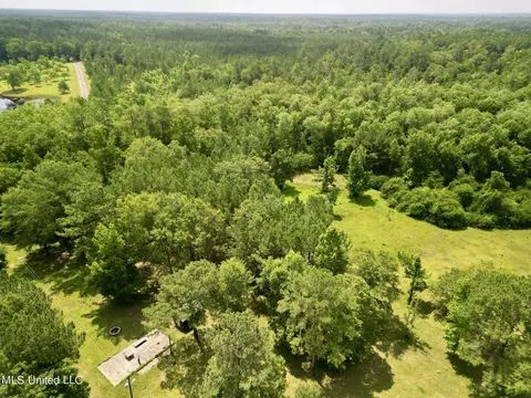 75 Eviction Rd, Lumberton, MS 39455 photo 15
