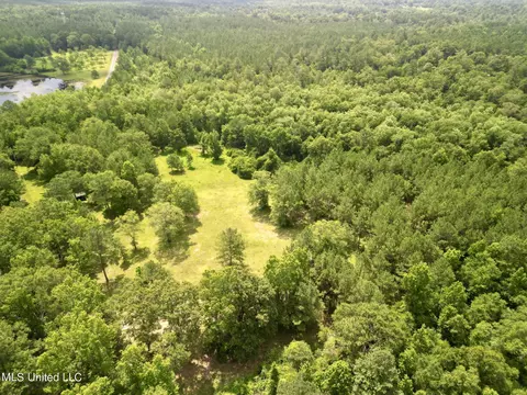 75 Eviction Rd, Lumberton, MS 39455 photo 14
