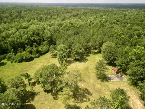 75 Eviction Rd, Lumberton, MS 39455 photo 16