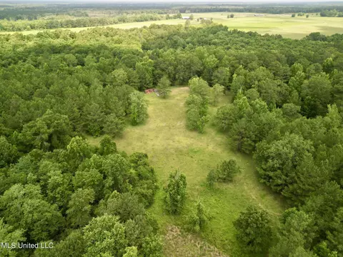 75 Eviction Rd, Lumberton, MS 39455 photo 7