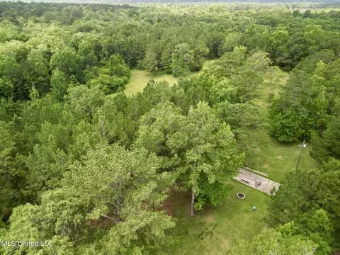 75 Eviction Rd, Lumberton, MS 39455 photo 4