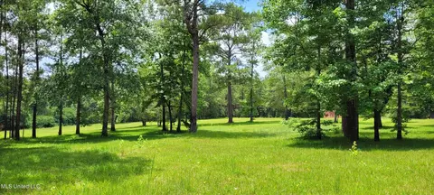 75 Eviction Rd, Lumberton, MS 39455 photo 25