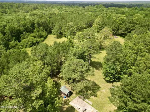 75 Eviction Rd, Lumberton, MS 39455 photo 17