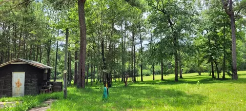 75 Eviction Rd, Lumberton, MS 39455 photo 23