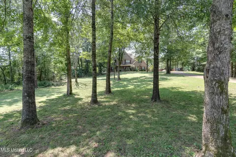 4763 Treadway Rd, Hernando, MS 38632 photo 4
