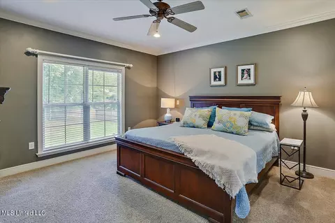 1009 Eastview Cv, Brandon, MS 39042 photo 20
