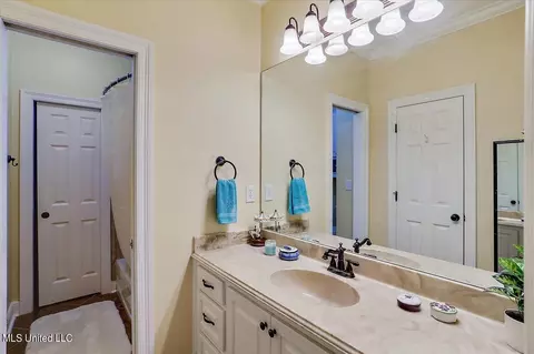 1009 Eastview Cv, Brandon, MS 39042 photo 28