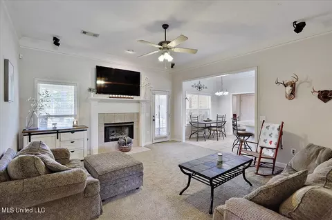 261 Cherry Bark Dr, Brandon, MS 39047 photo 9