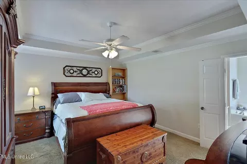 261 Cherry Bark Dr, Brandon, MS 39047 photo 20