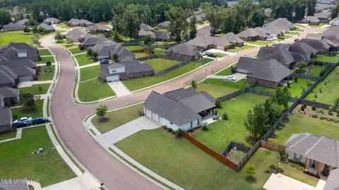 101 Winchester Cv, Madison, MS 39110 photo 57