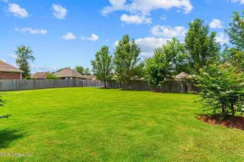 101 Winchester Cv, Madison, MS 39110 photo 51