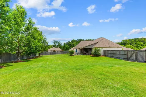 101 Winchester Cv, Madison, MS 39110 photo 50