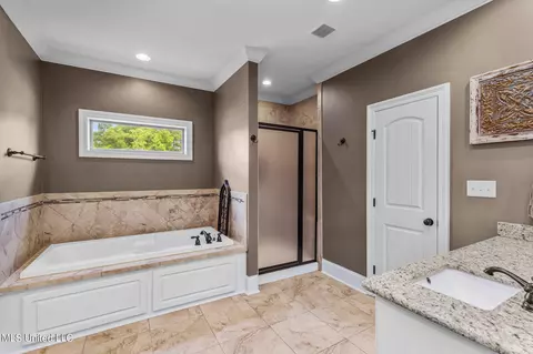 101 Winchester Cv, Madison, MS 39110 photo 28