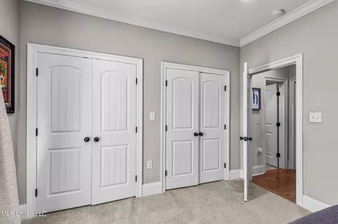 101 Winchester Cv, Madison, MS 39110 photo 37