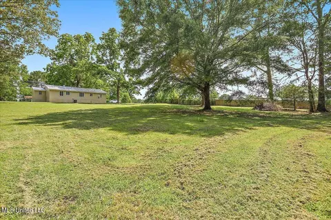 114 Tolleson Cv, Brandon, MS 39042 photo 33