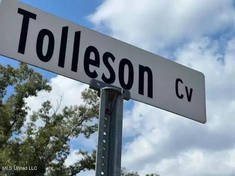114 Tolleson Cv, Brandon, MS 39042 photo 7