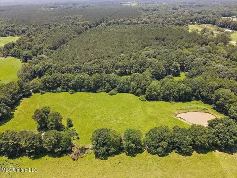 View/Area - 119 Fox Run Dr, Mendenhall, MS 39114 photo 12 of 15