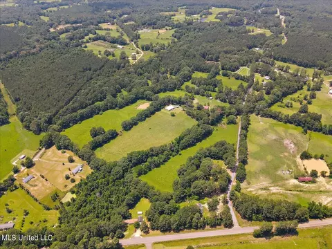 View/Area - 119 Fox Run Dr, Mendenhall, MS 39114 photo 14 of 15