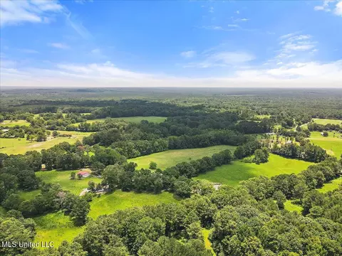 View/Area - 119 Fox Run Dr, Mendenhall, MS 39114 photo 4 of 15