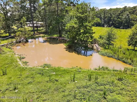 View/Area - 119 Fox Run Dr, Mendenhall, MS 39114 photo 2 of 15