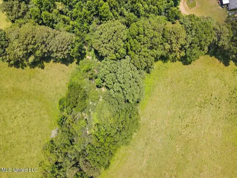 View/Area - 119 Fox Run Dr, Mendenhall, MS 39114 photo 11 of 15