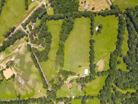 View/Area - 119 Fox Run Dr, Mendenhall, MS 39114 photo 13 of 15