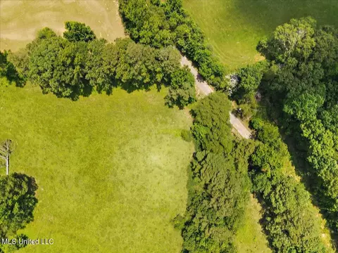 View/Area - 119 Fox Run Dr, Mendenhall, MS 39114 photo 8 of 15